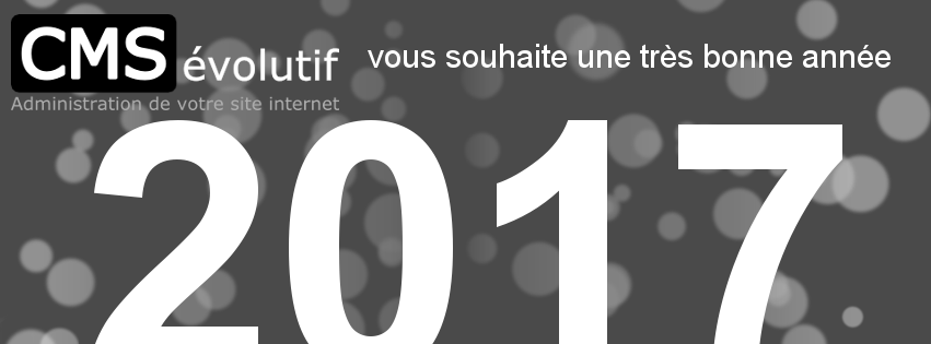 Bonne année 2017